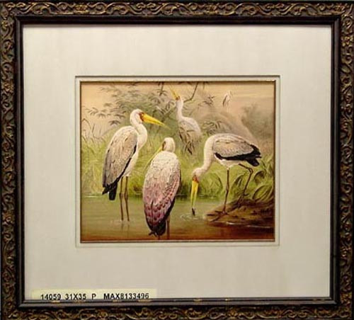 14059 THE AFRICAN WOOD IBIS - 31X35