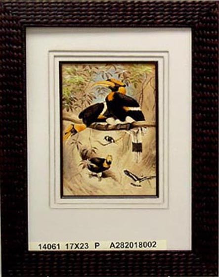 14061 THE RHINOCEROS HORNBILL - 17X23