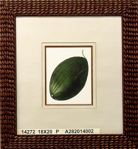 14272 THE WINTER MELON - 18X20