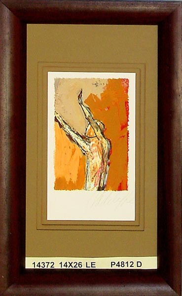 14372 MOMENTUM 3 - 14X26