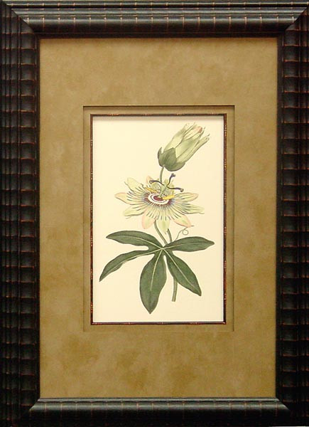 14425 PLATE 29 - 16X24