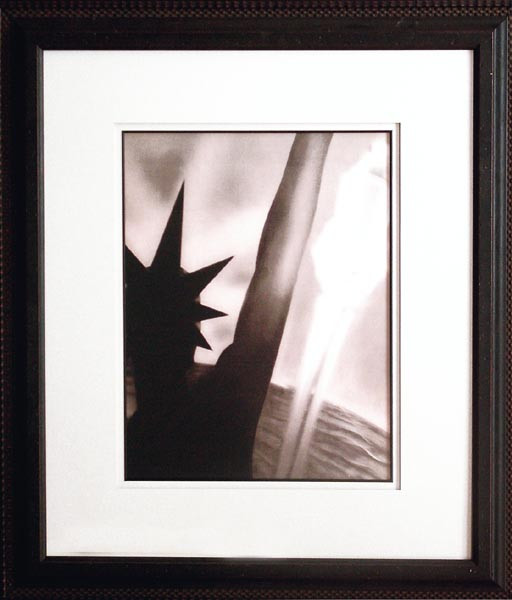 14446 LIBERATE - 29X35