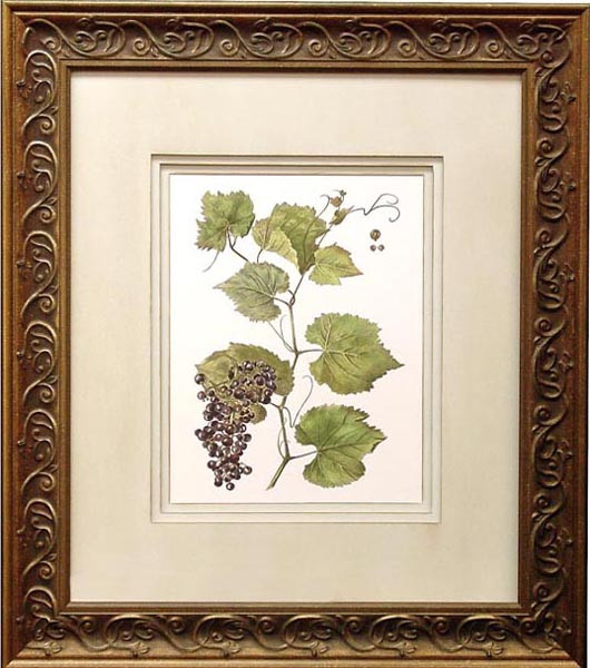 14495 PLATE 19 - 25X29