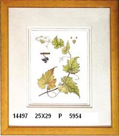14497 PLATE 22 - 25X29