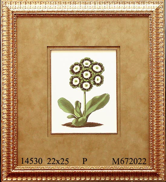 14530 PLATE 94 - 22X25