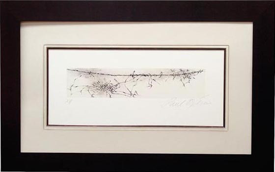 14602 FENCES I - 27X47