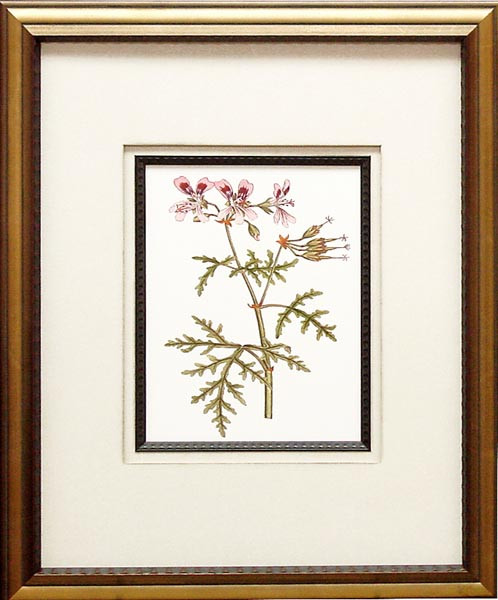 14726 PLATE 95 - 20X25