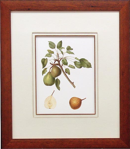 14740 PENA - 22X26