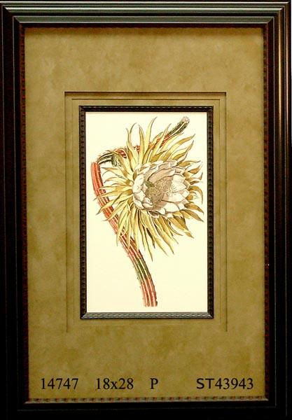 14747 PLATE F6 - 18X28