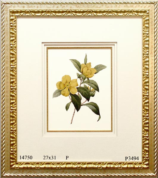 14750 REDOUTE LA DILLENNE - 27X31