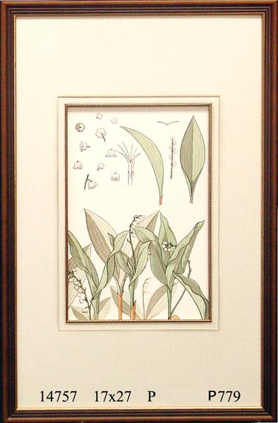 14757 PLATE 37 - 17X27