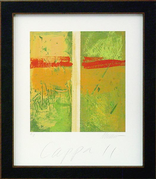 14867 CAPPA II - 22X26