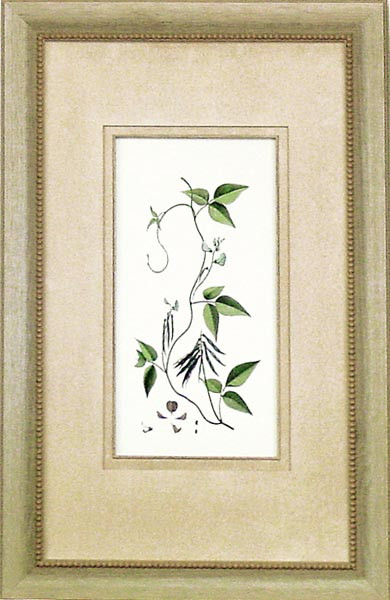 14961 PLATE 66 - 15X26