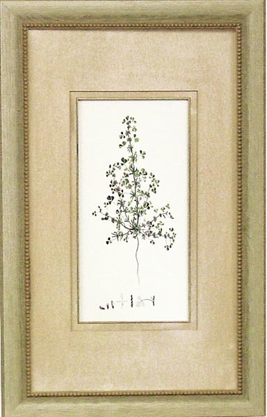 14962 PLATE 67 - 15X26
