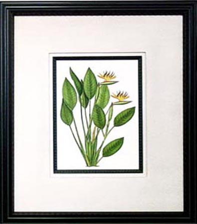 14984 PLATE 1102 - 23X27