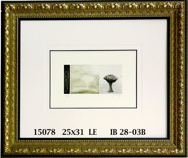 15078 SHADES OF ...I - 25X31