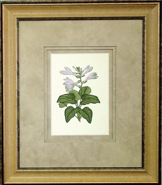 15138 PLATE 821 - 21X25