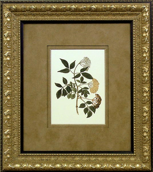 15145 PLATE 103 - 20X24