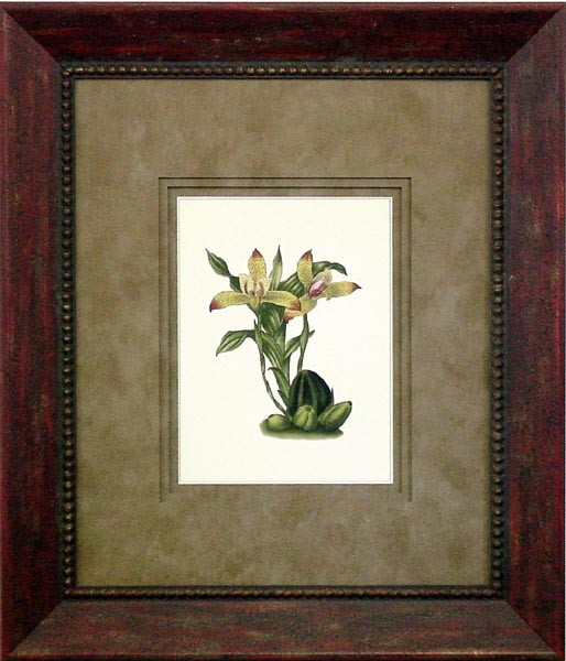 15158 PLATE AUL - 23X28
