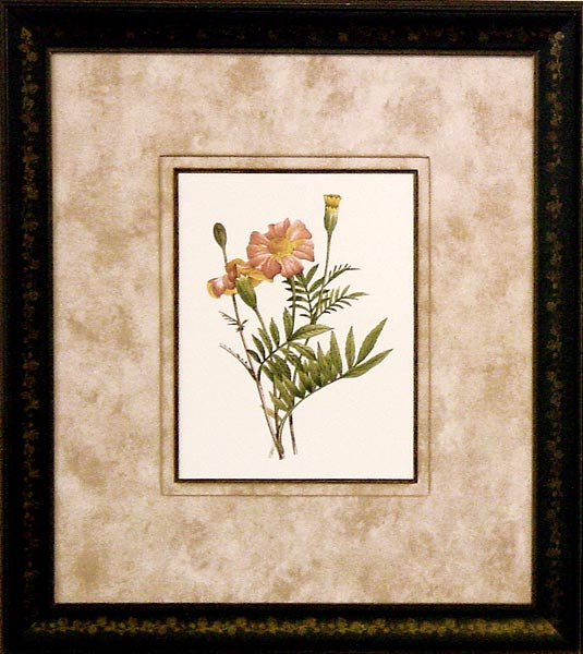 15203 PLATE 1-T (PINK) - 20X23