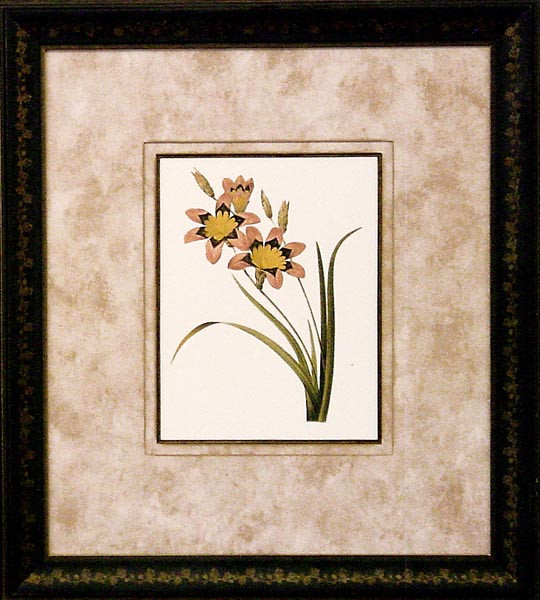 15204 PLATE 17-L - 20X23