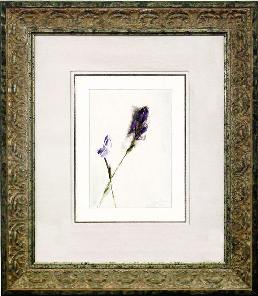 15229 LILAC STUDY II - 26X31