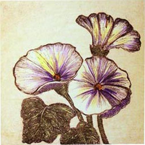 15316 SPRING III - 24X24