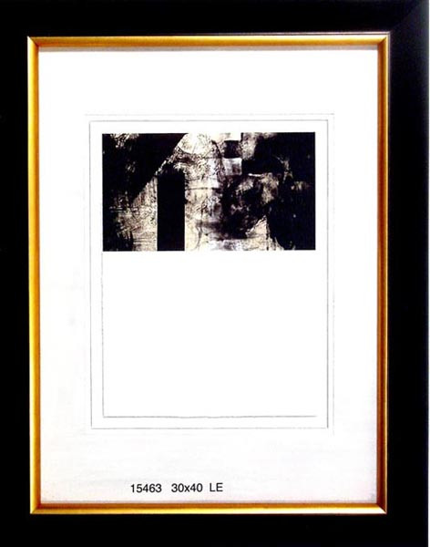 15463 SYL I - 30X40