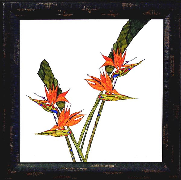 15504 MADISON IV - 20X20
