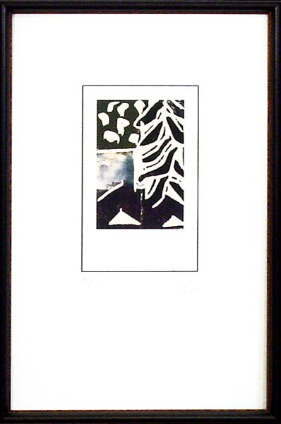 15622 CODA V - 18X28