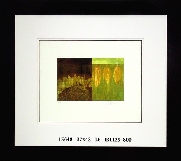 15648 SEASONS I - 37X43