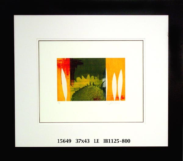 15649 SEASONS II - 37X43
