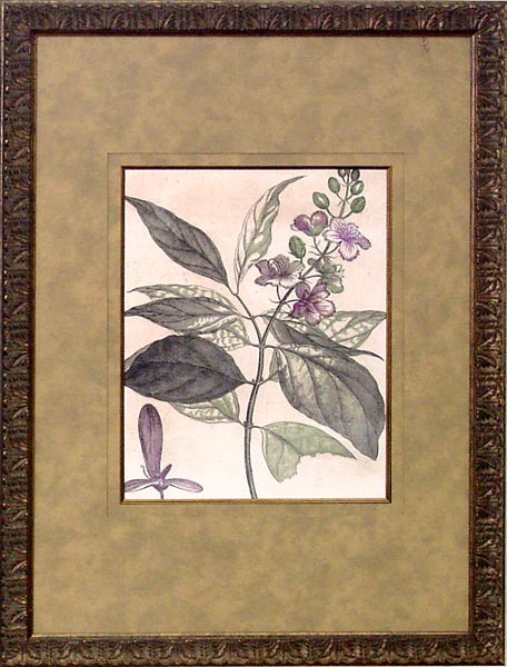 15657 BOTANICAL S - 18X25