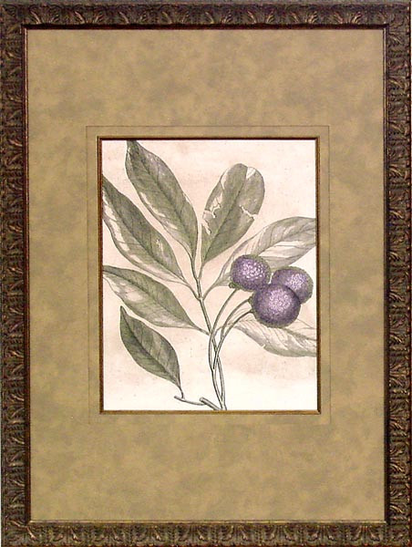 15658 BOTANICAL T - 18X25