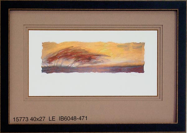 15773 COLLUM'S BRUSH II - 40X27