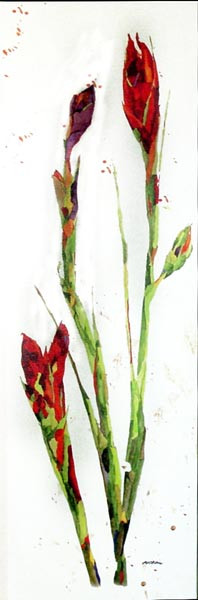 15628 UNFOLDING I - 15X48