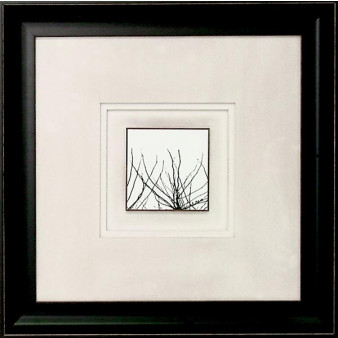 15910 BRANCHES II - 20X20