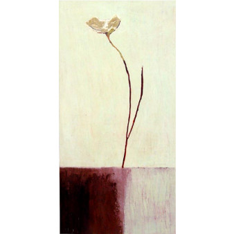 16006 SO SIMPLE II - 20X40 (Temporarily Discontinued)