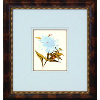 16084 PLATE 411 - 20X22