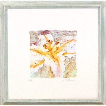 16116 B'S GARDEN I - 20X20