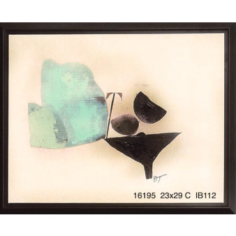 16195 VALOR I - 23X29