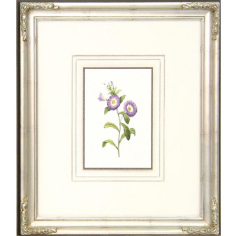 16287 PLATE 85 - 20X24