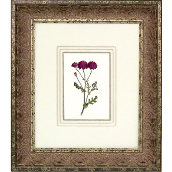 16455 PLATE 321 - 20X24