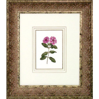 16460 PLATE 328 - 20X24