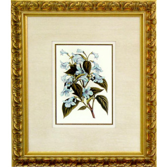 16467 XII - 20X24