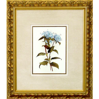 16468 XIII - 20X24