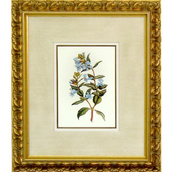 16469 XIV - 20X24