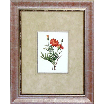 16475 CORAL PASSION III - 18X24