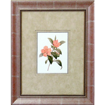 16476 CORAL PASSION IV - 18X24