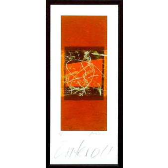 16744 ENTERO II - 12X28
